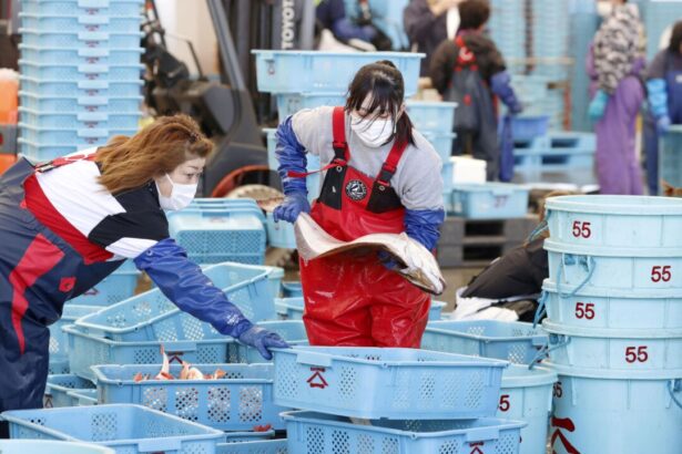 japan’s-wholesale-inflation-accelerates-to-3-year-peak-as-energy-costs-rise