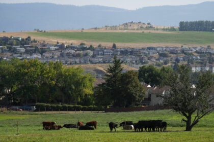 communities-report-high-demand-for-pilot-offering-permanent-residency-for-rural-jobs