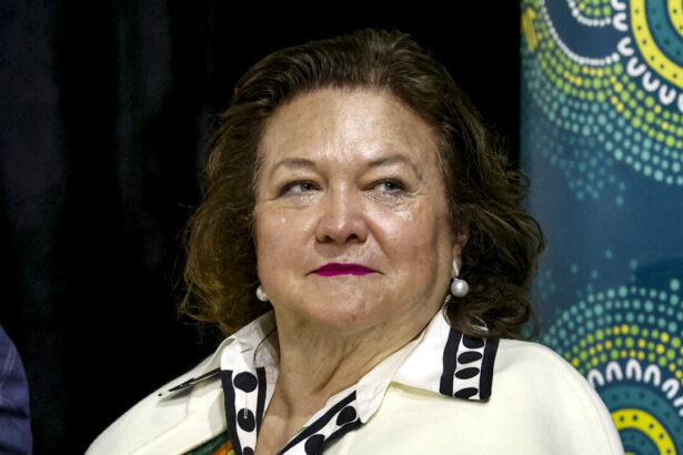 rinehart-floats-queensland-as-future-spacex-launch-site
