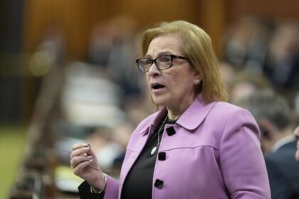 minister-says-‘something’-happened-to-trigger-order-to-surrender-citizenship-docs