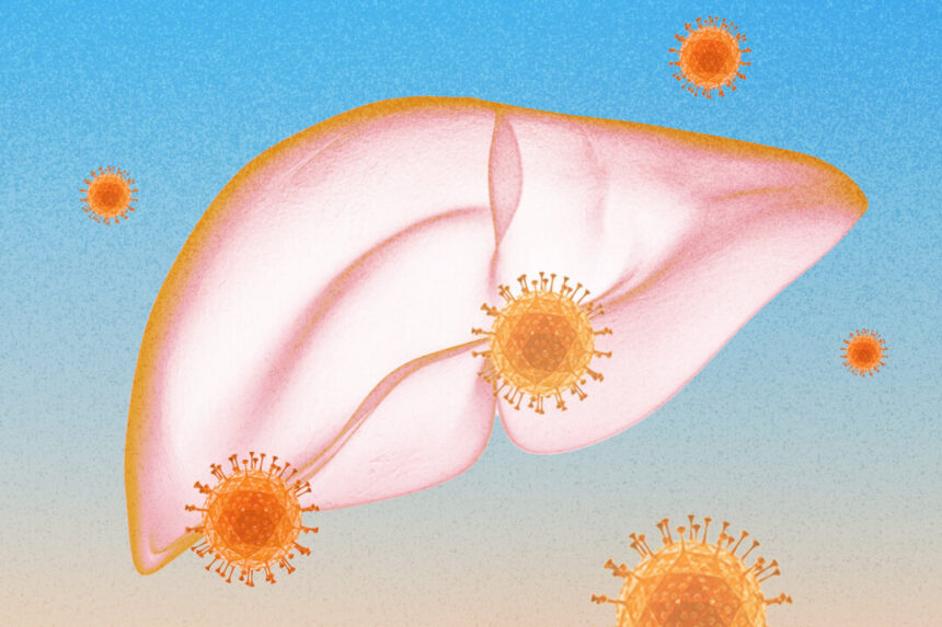 new-drug-offers-potential-cure-for-chronic-hepatitis-b