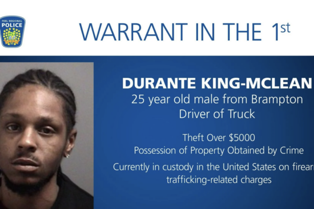 suspect-in-pearson-gold-heist-handed-13-year-us-prison-term-for-arms-trafficking