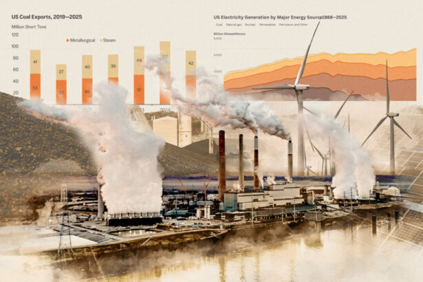 can-american-coal-survive?