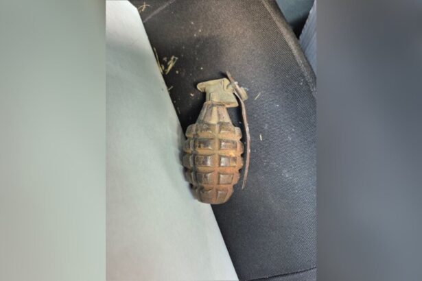 ontario-police-remind-public-not-to-bring-explosives-to-stations-after-resident-turns-in-wwii-grenade