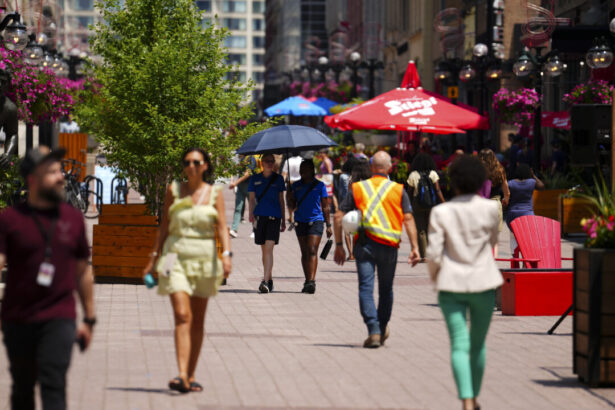 applications-for-federal-public-service-jobs-drop-by-almost-30-percent