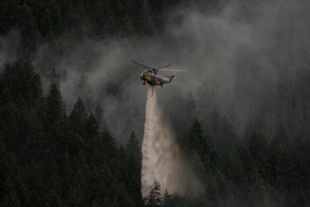 visitor-fought-bc-wildfire-with-frying-pan.-but-it-became-an-inferno