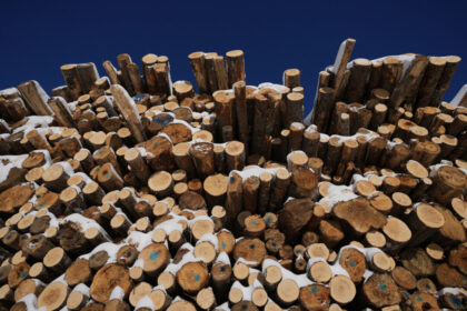 saskatchewan-sawmill-curtailing-operations,-117-employees-affected