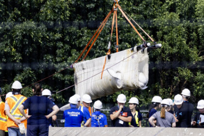 six-whales-moved-out-of-marineland-in-‘complex’-operation,-headed-to-us-aquariums