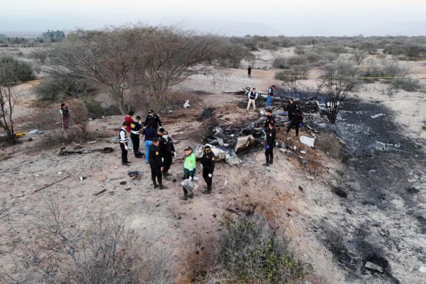 plane-carrying-european-tourists-crashes-in-peru,-killing-13-people-on-nazca-lines-viewing-flight