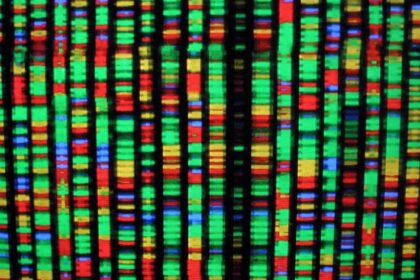 with-ai-spurring-research–and-paying-dividends–us-genesis-mission-gains-momentum