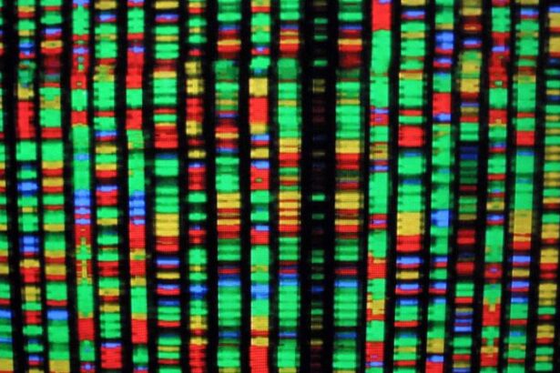 with-ai-spurring-research–and-paying-dividends–us-genesis-mission-gains-momentum