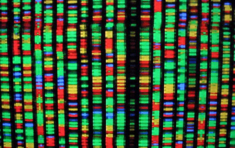 with-ai-spurring-research–and-paying-dividends–us-genesis-mission-gains-momentum