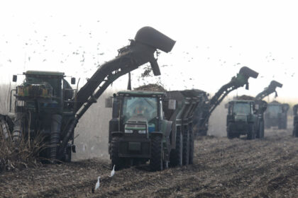 us-sets-2027-sugar-import-quotas-under-wto-commitments