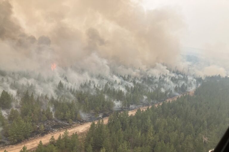 spreading-wildfires-in-bc-trigger-power-disruptions-across-province