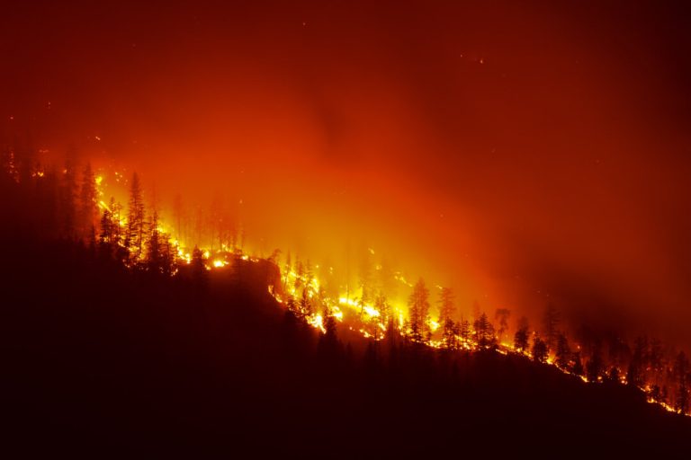 8,000-people-ordered-to-evacuate-in-bc-as-wildfires-continue-to-ravage-province
