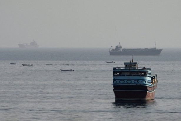 iran’s-hormuz-shutdown-could-lead-to-coastal-countries-gaining-more-control-of-chokepoints