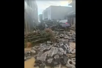 flood-survivors-in-southern-china-describe-days-of-hunger-as-volunteers-struggle-to-deliver-aid