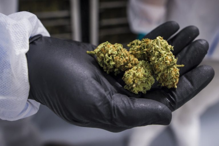 how-a-vancouver-atm-user-with-66-cards-set-off-years-long-probe-of-online-drug-sales