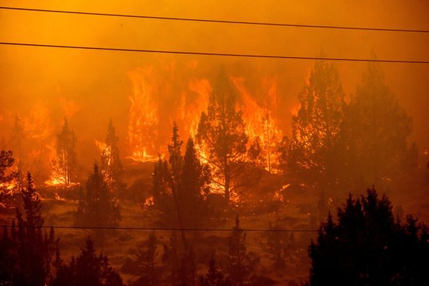 4-firefighters-die,-90-large-fires-uncontained-in-most-active-fire-year-in-a-decade