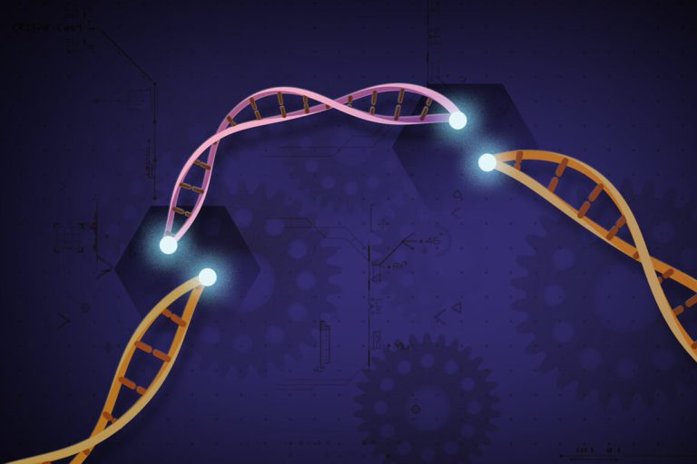 another-child-death-in-china-gene-editing-trial-disclosed-nearly-a-year-later