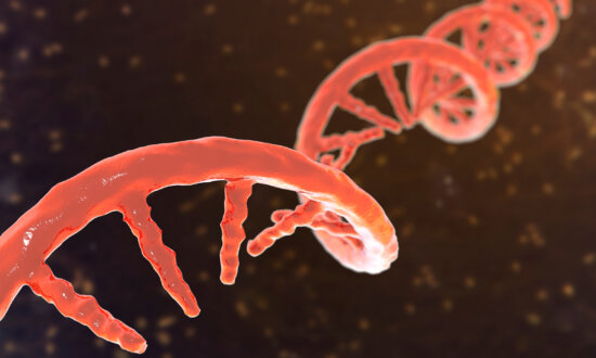 chinese-university-reviewing-gene-editing-research-as-family-discloses-daughter’s-death