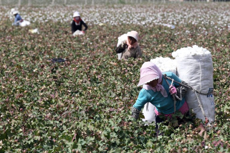 beijing-sanctions-2-us-labs-that-can-prove-where-cotton-grew