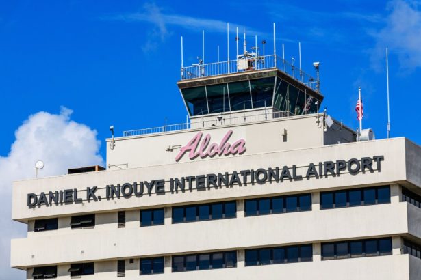 former-canadian-flight-attendant-who-posed-as-pilot-pleads-guilty-to-fraud-in-us
