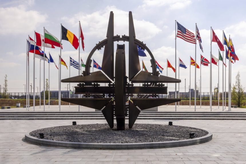 canadian-nato-intern-arrested-on-espionage-charge-the-latest-flagged-by-foreign-agencies