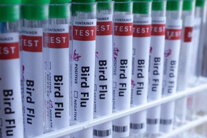australia-to-roll-out-bird-flu-vaccines,-5-native-species-at-high-risk