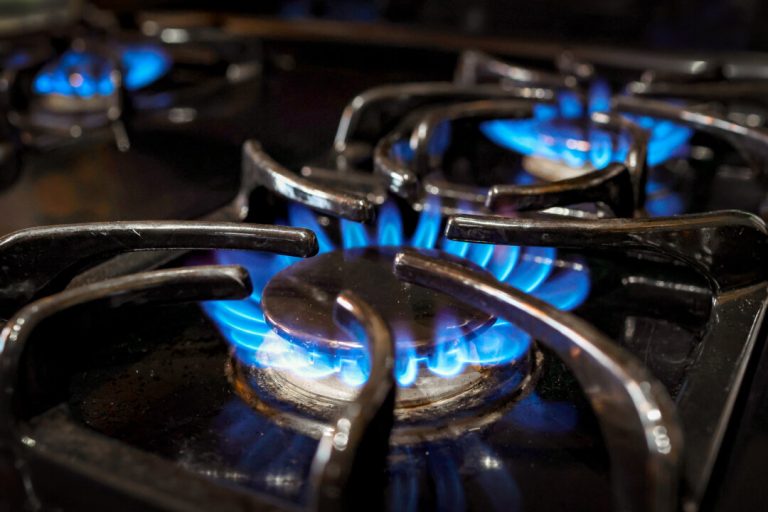 appeals-court-sets-aside-biden-era-energy-standards-for-stoves,-ovens