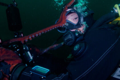 giant-pacific-octopus-shoots-video-of-itself-after-claiming-camera-from-bc-divers