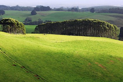 senate-rejects-inquiry-into-sale-of-tasmania’s-biggest-farm,-9,000-hectares-for-carbon-credit-use