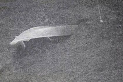 3-people-detained-after-alleged-drug-boat-capsizes