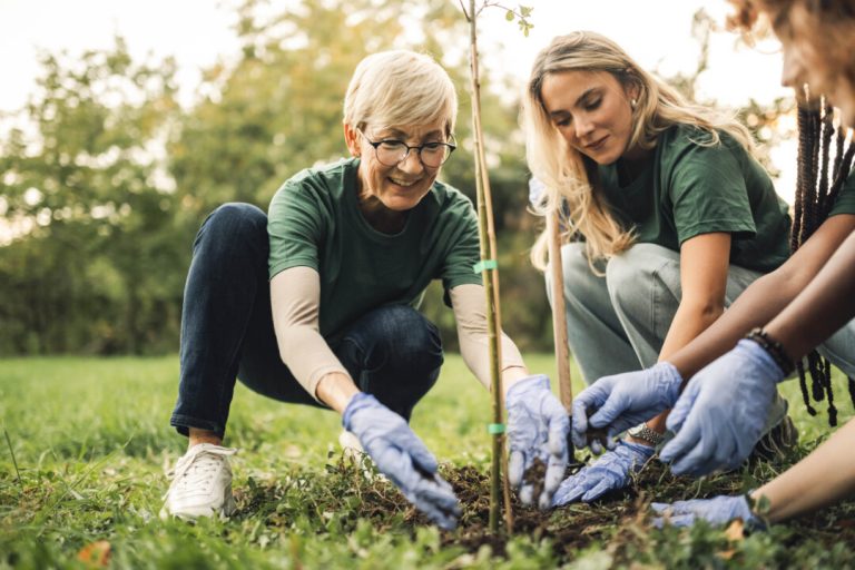 the-legal-risks-of-volunteering