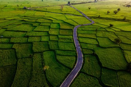australia-eyes-$15-million-for-rice-giant-sunrice-as-water-rules-put-production-at-risk