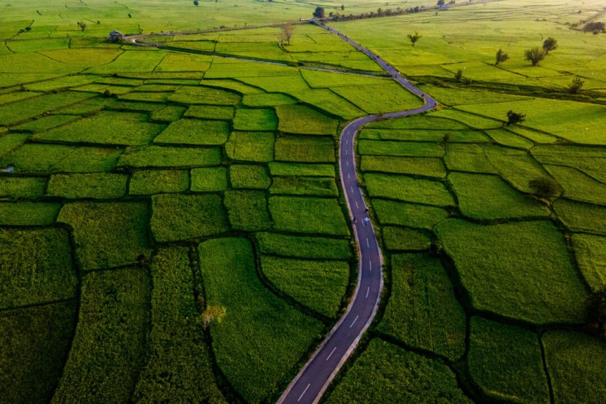 australia-eyes-$15-million-for-rice-giant-sunrice-as-water-rules-put-production-at-risk