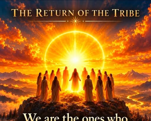 we-are-here-to-rebuild-what-was-forgotten,