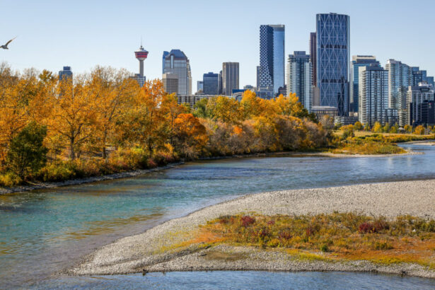 calgarians-remain-resilient-despite-declining-quality-of-life,-survey-suggests