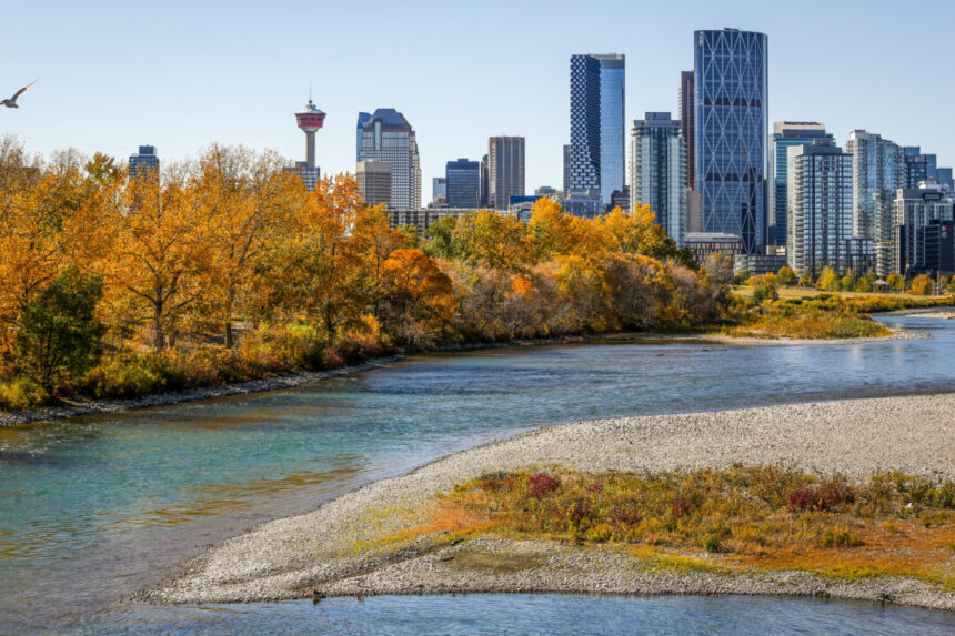 calgarians-remain-resilient-despite-declining-quality-of-life,-survey-suggests