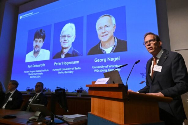 3-scientists-receive-nobel-prize-for-brain-activity-research