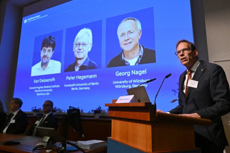 3-scientists-receive-nobel-prize-for-brain-activity-research