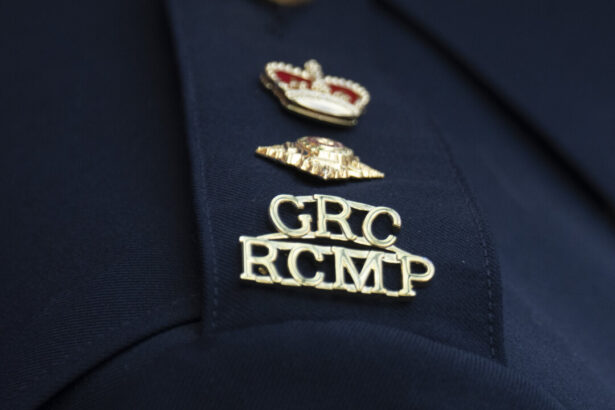 three-horses-en-route-to-equestrian-canada-event-killed-in-bc-highway-crash