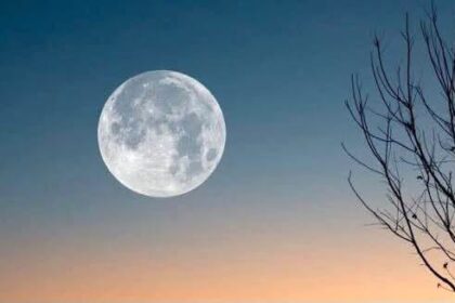 la-verdad-expuesta-de-la-luna
