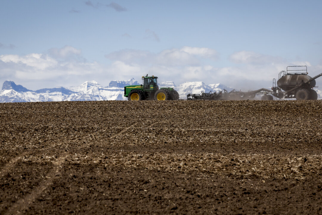 canadian-farmland-values-have-risen-4-percent,-reflecting-‘resilient-demand’-in-markets:-report