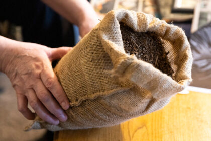 nsw-becomes-1st-australian-state-to-legalise-human-composting-after-death