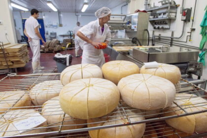 how-new-zealand-got-more-canadian-dairy-access-despite-recent-supply-management-protection-legislation