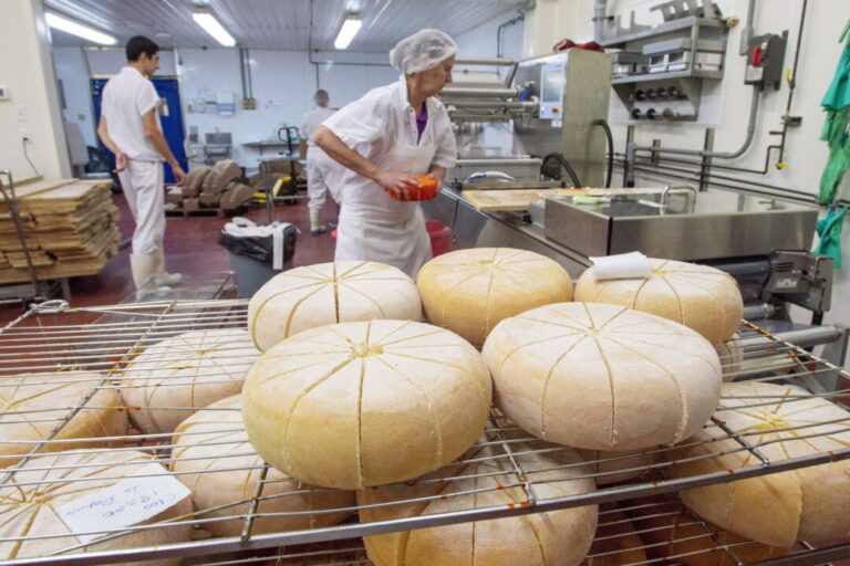 how-new-zealand-got-more-canadian-dairy-access-despite-recent-supply-management-protection-legislation