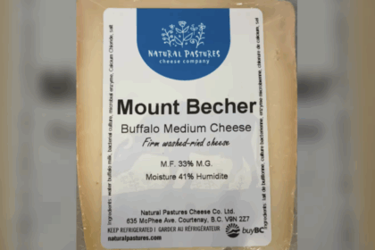 cheese-recalled-in-2-canadian-provinces-over-listeria-contamination