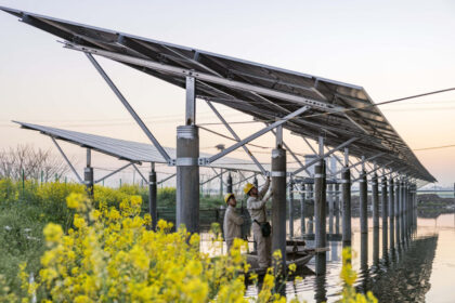 china-sets-steep-duties-on-canadian-canola-imports,-opens-new-probe
