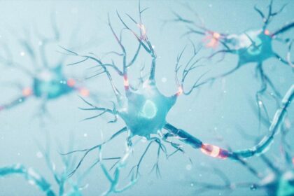beyond-muscle:-how-protein-supports-your-nervous-system